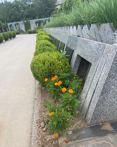 永安陵公墓春节祭祀规定